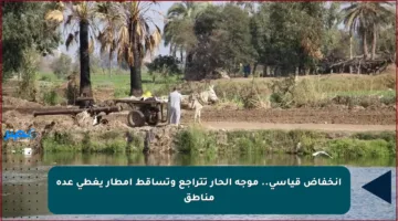 انخفاض قياسي.. موجة الحار تتراجع وتساقط أمطار يغطي عدة مناطق